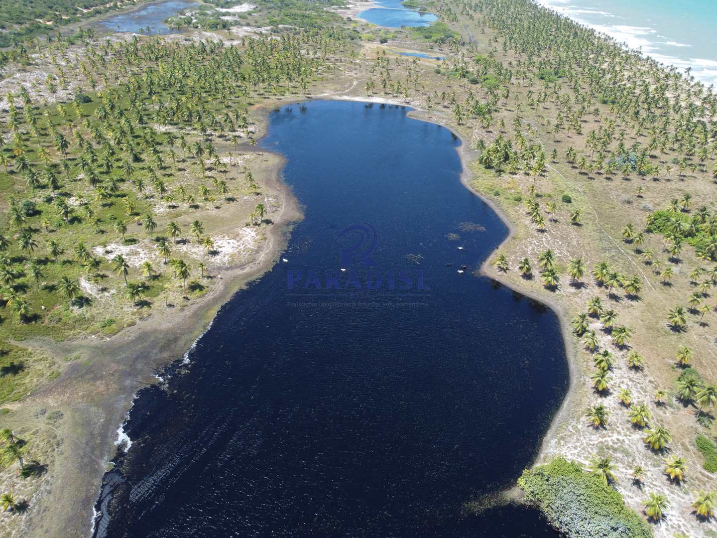 Terreno, 44 hectares - Foto 3
