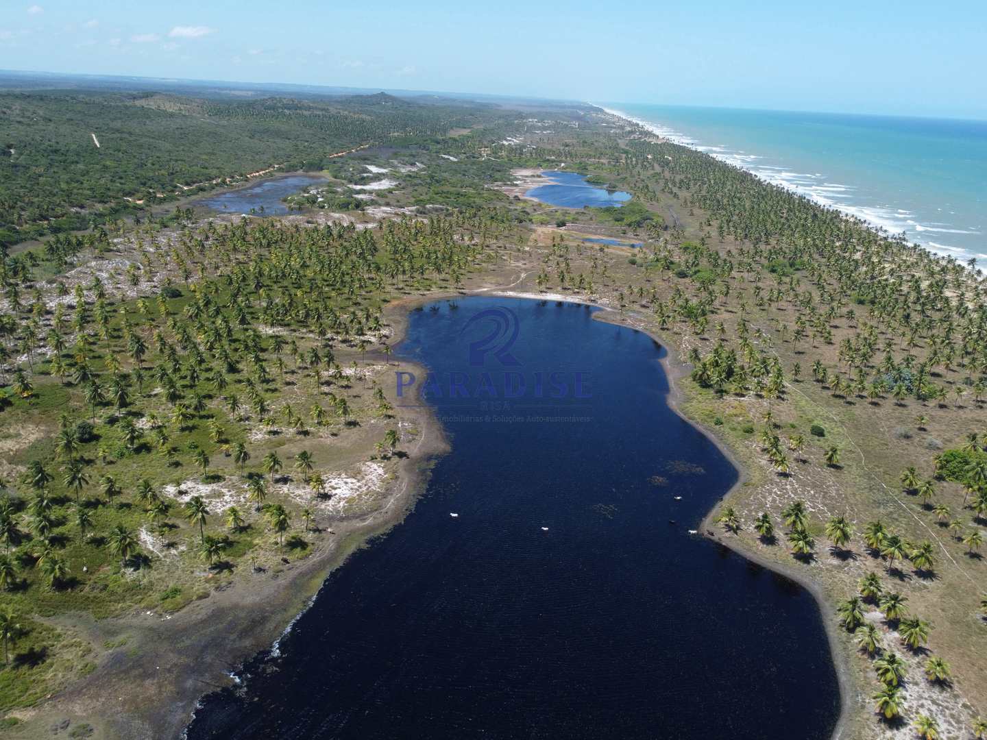 Terreno, 44 hectares - Foto 4