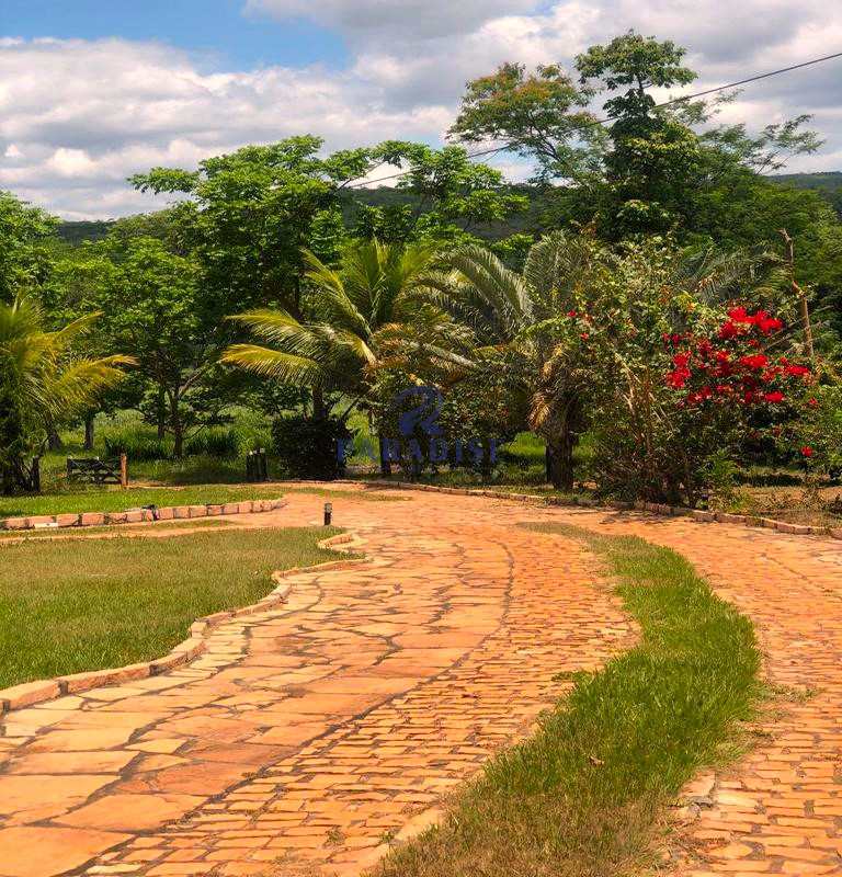 Fazenda à venda, 570000m² - Foto 6