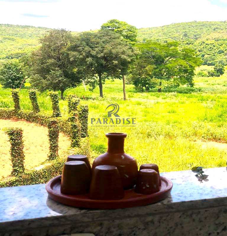 Fazenda à venda, 570000m² - Foto 45