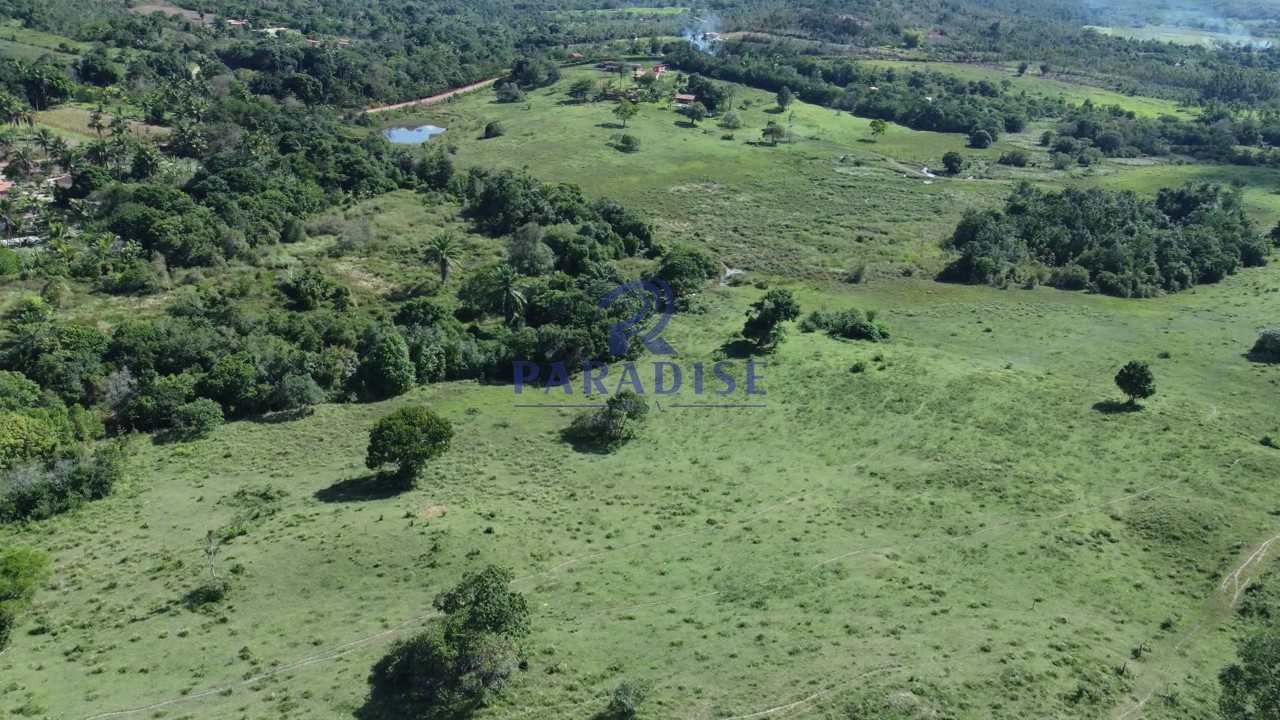 Fazenda-Sítio-Chácara, 193 hectares - Foto 1