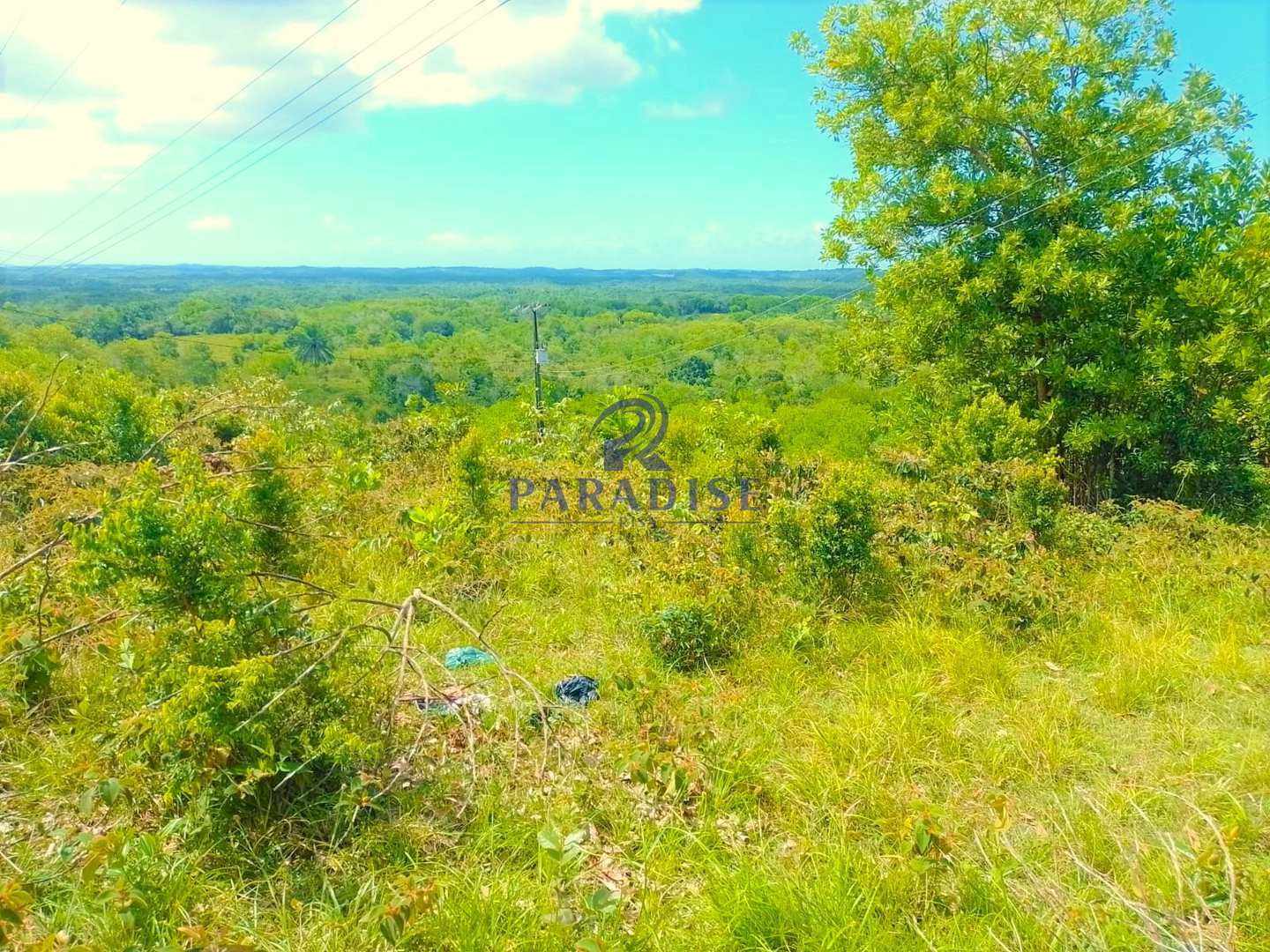 Fazenda à venda, 7800000m² - Foto 8