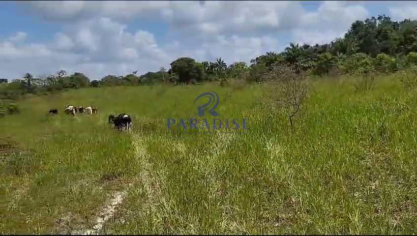 Fazenda à venda, 609840m² - Foto 44