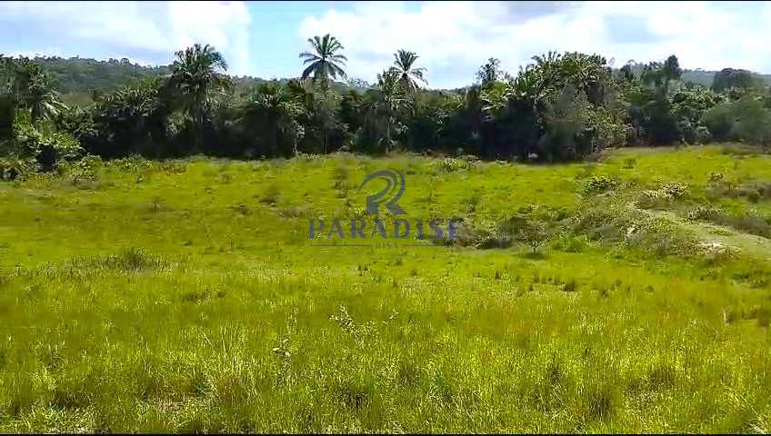 Fazenda à venda, 609840m² - Foto 7