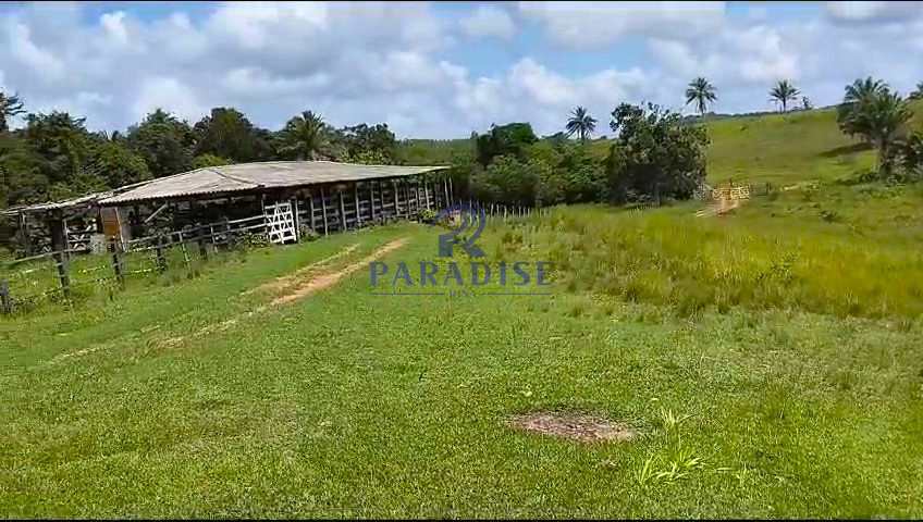 Fazenda à venda, 609840m² - Foto 9