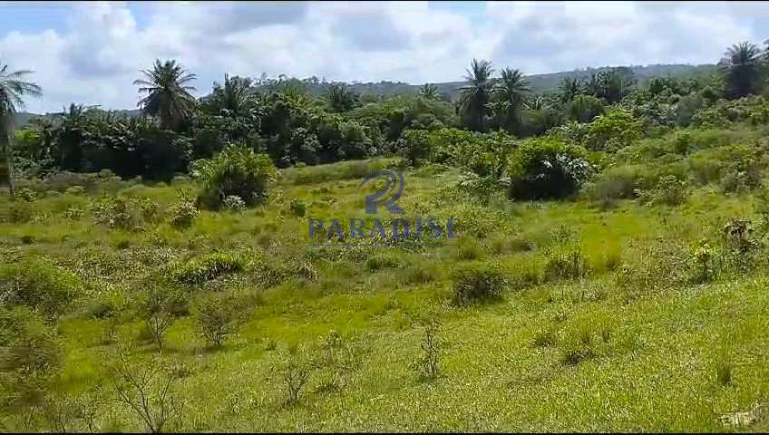 Fazenda à venda, 609840m² - Foto 6