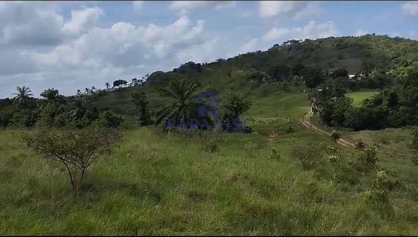 Fazenda à venda, 609840m² - Foto 36