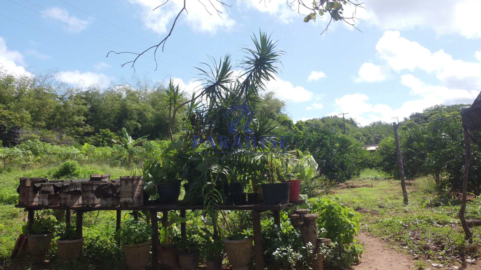 Fazenda à venda, 213346m² - Foto 66