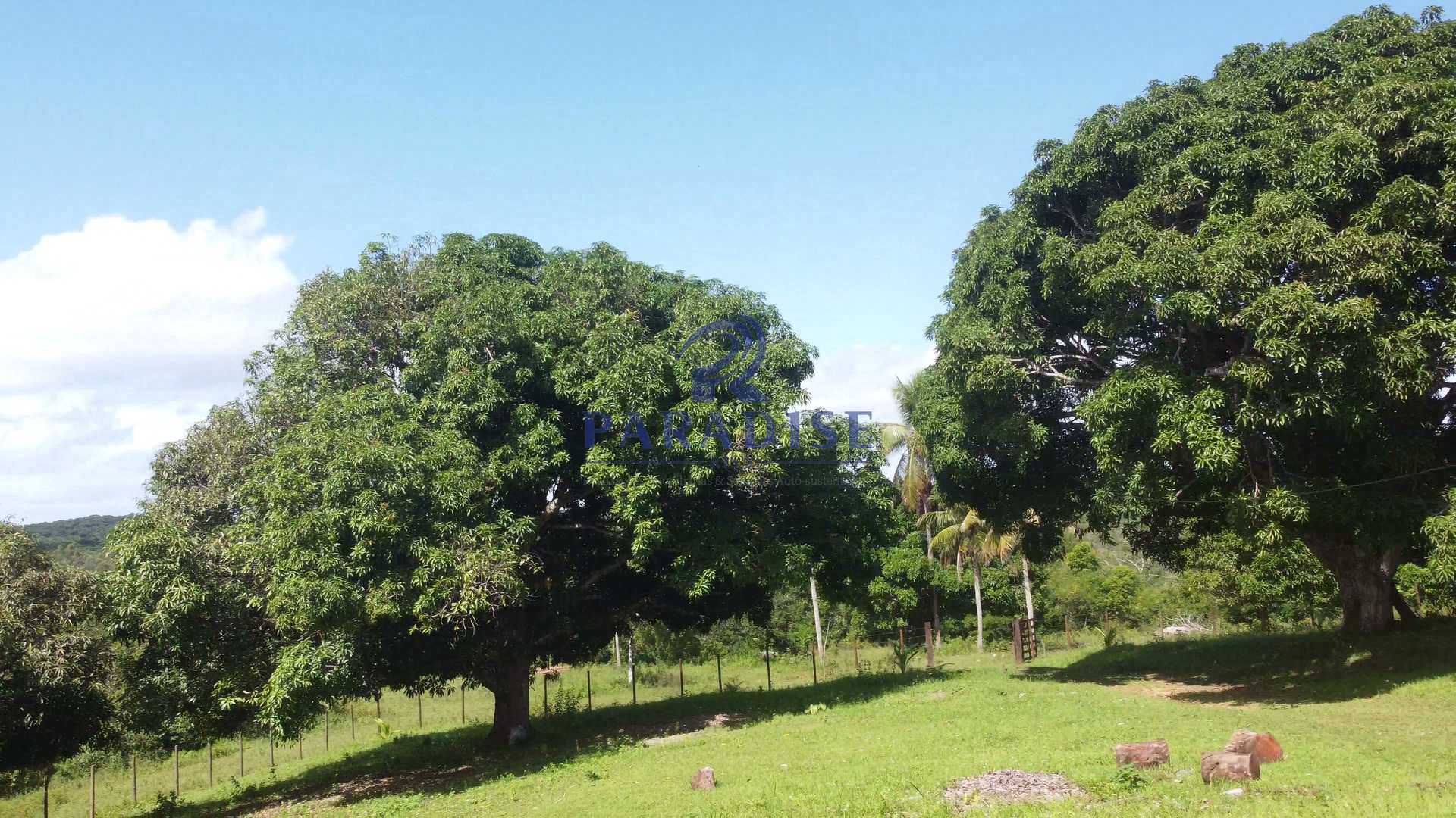 Fazenda à venda, 213346m² - Foto 46