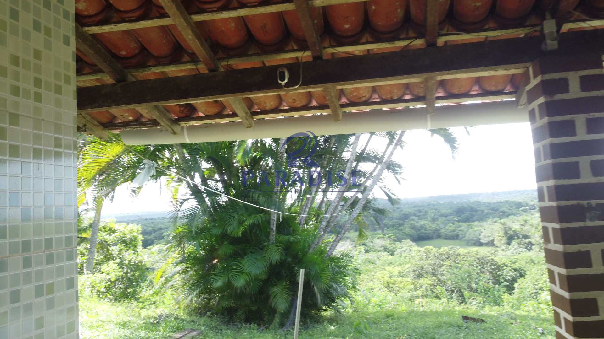 Fazenda à venda, 213346m² - Foto 52