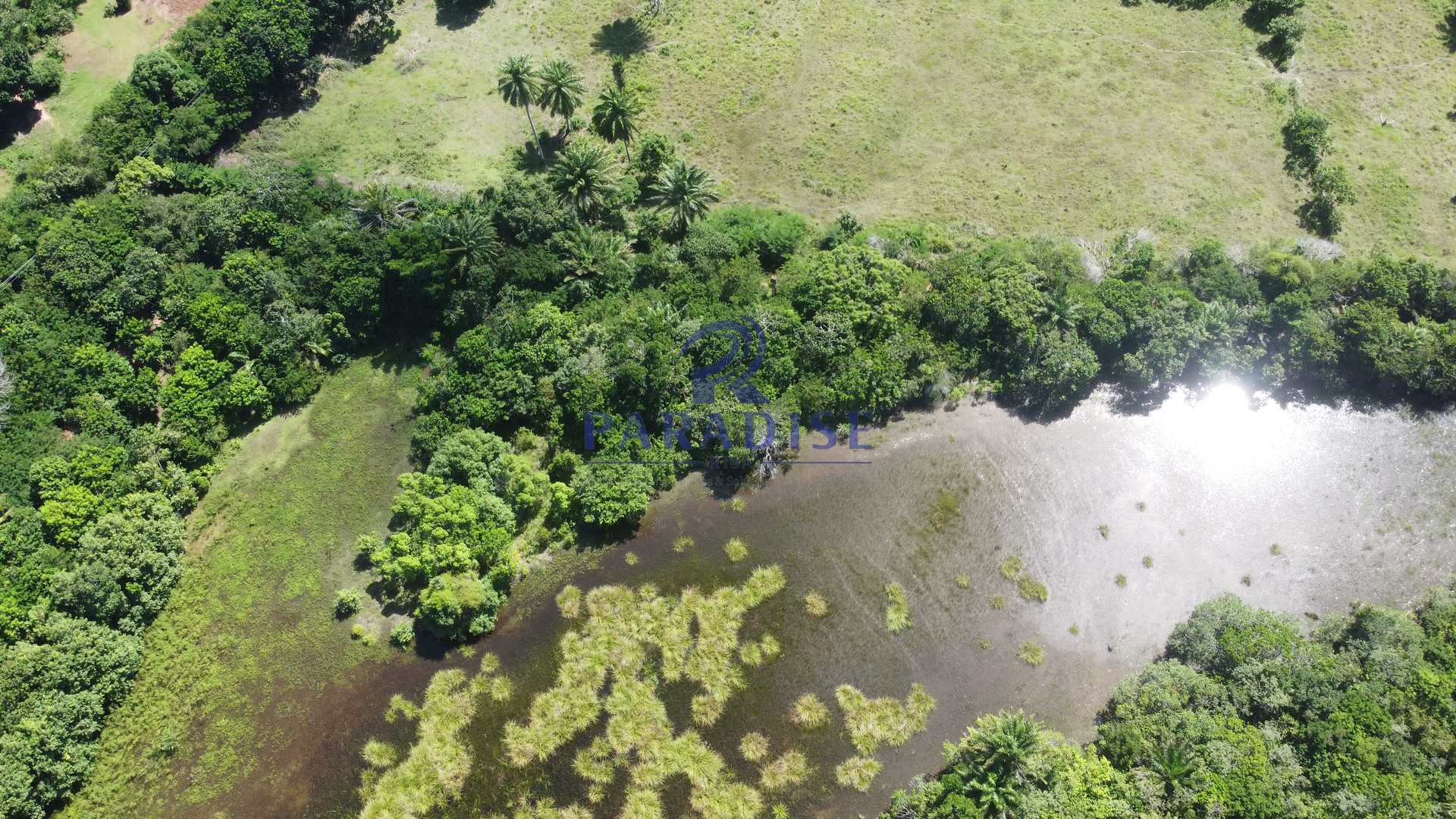 Fazenda à venda, 213346m² - Foto 35