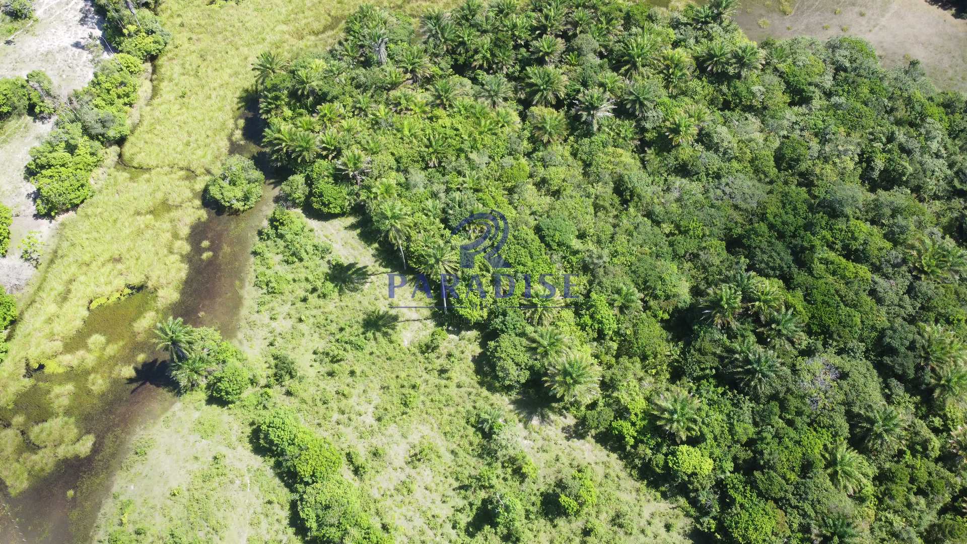 Fazenda à venda, 213346m² - Foto 33