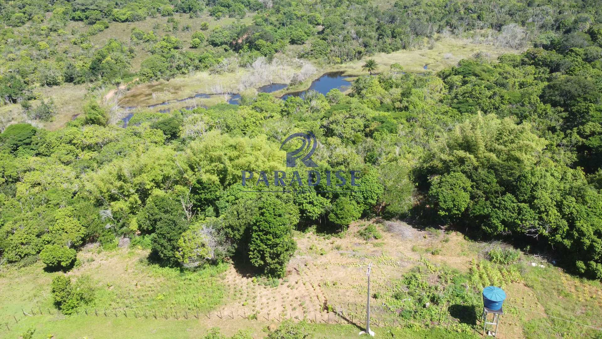 Fazenda à venda, 213346m² - Foto 12