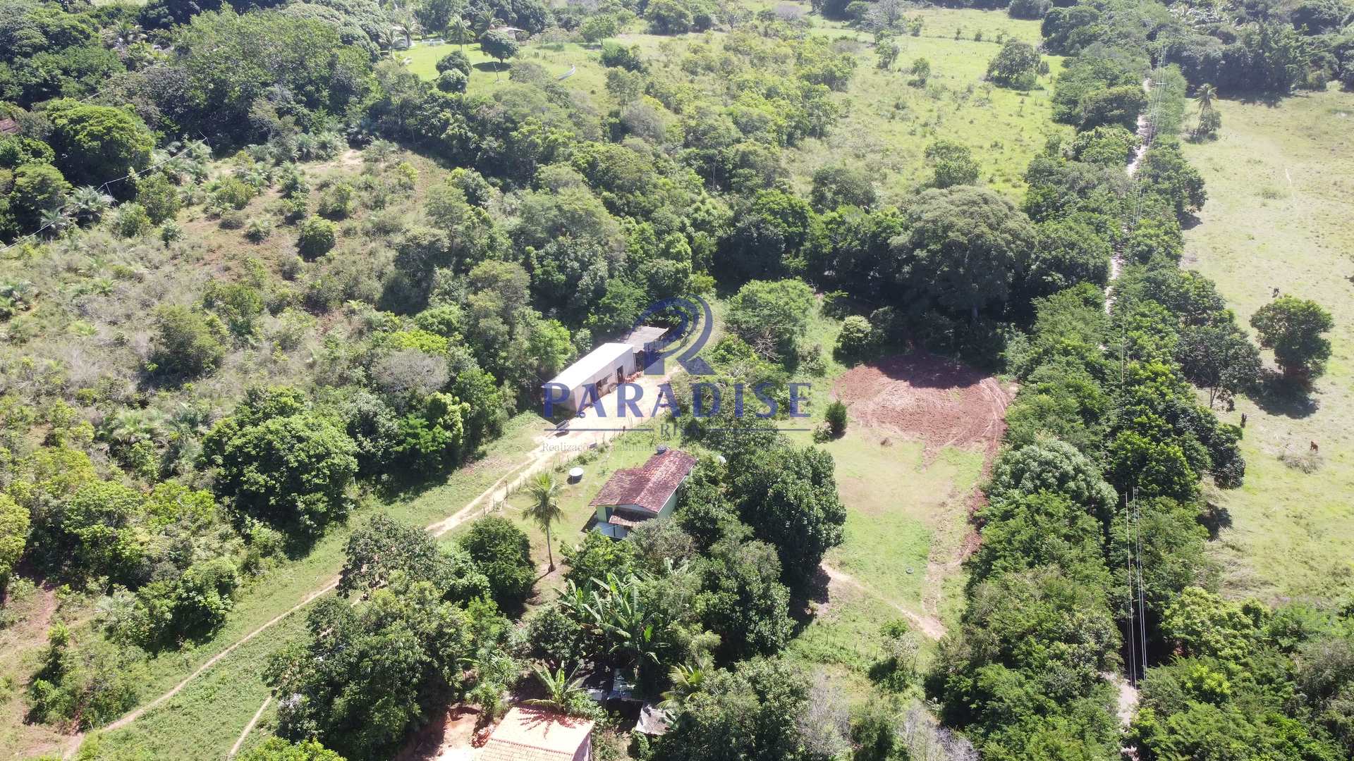 Fazenda à venda, 213346m² - Foto 11