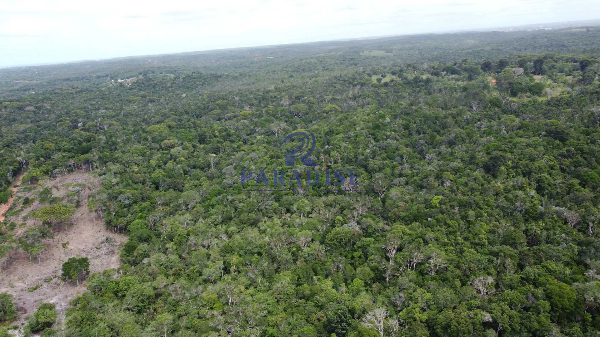 Fazenda à venda, 20000m² - Foto 5