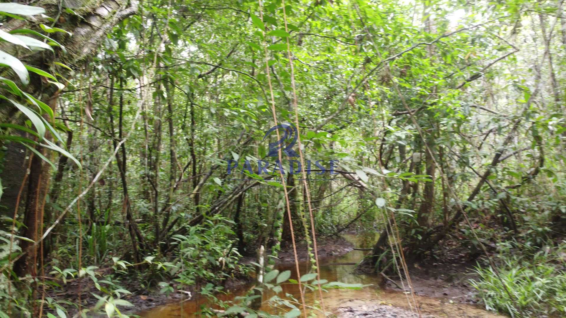 Fazenda à venda, 20000m² - Foto 42