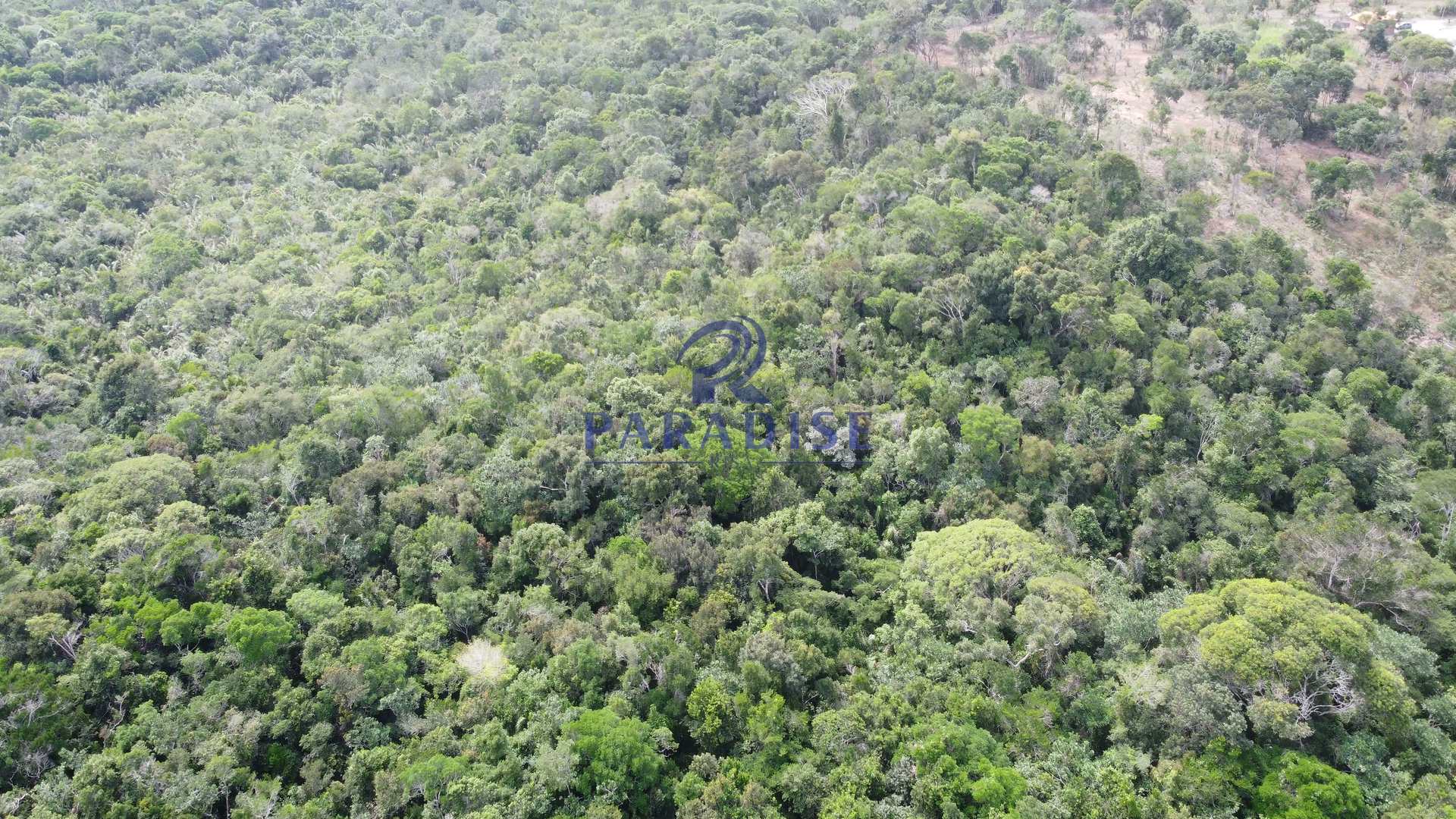 Fazenda à venda, 20000m² - Foto 12