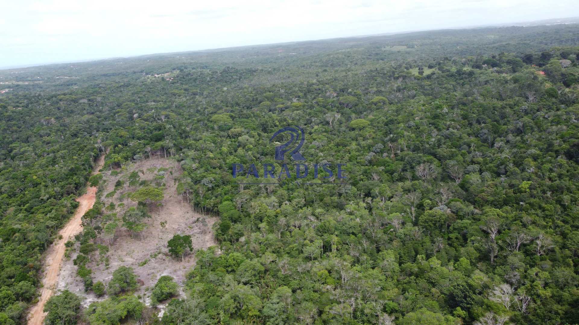 Fazenda à venda, 20000m² - Foto 4