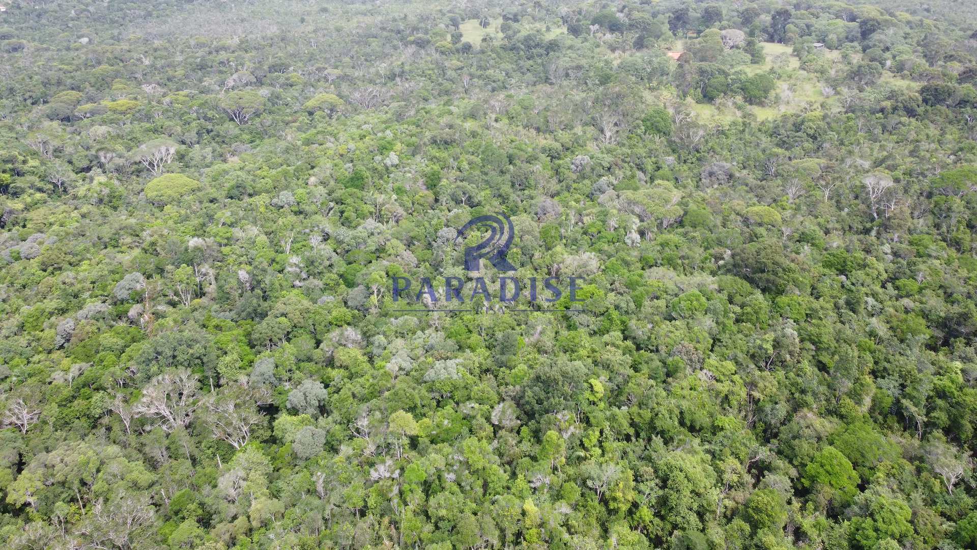 Fazenda à venda, 20000m² - Foto 8