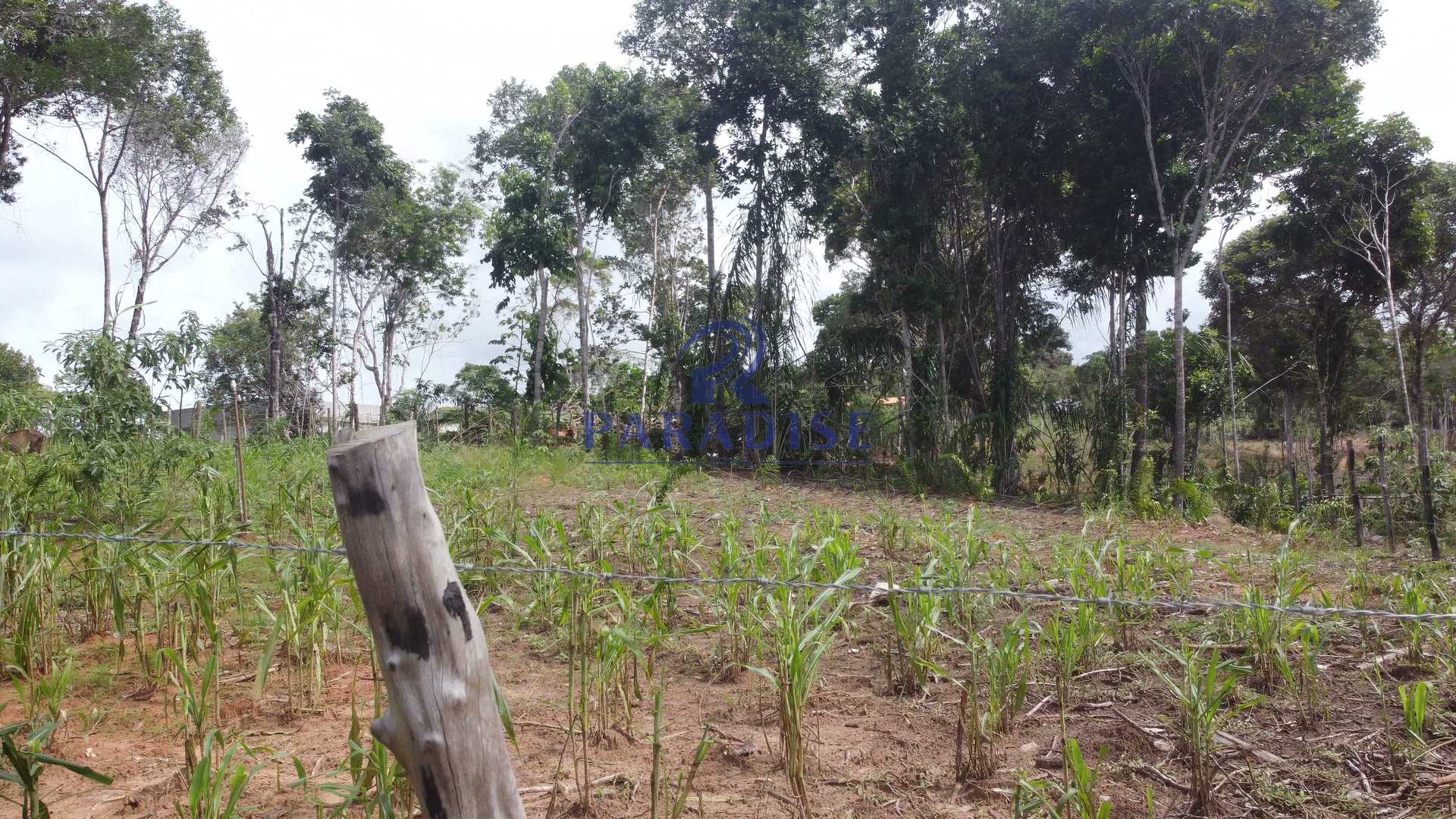 Fazenda à venda, 20000m² - Foto 24