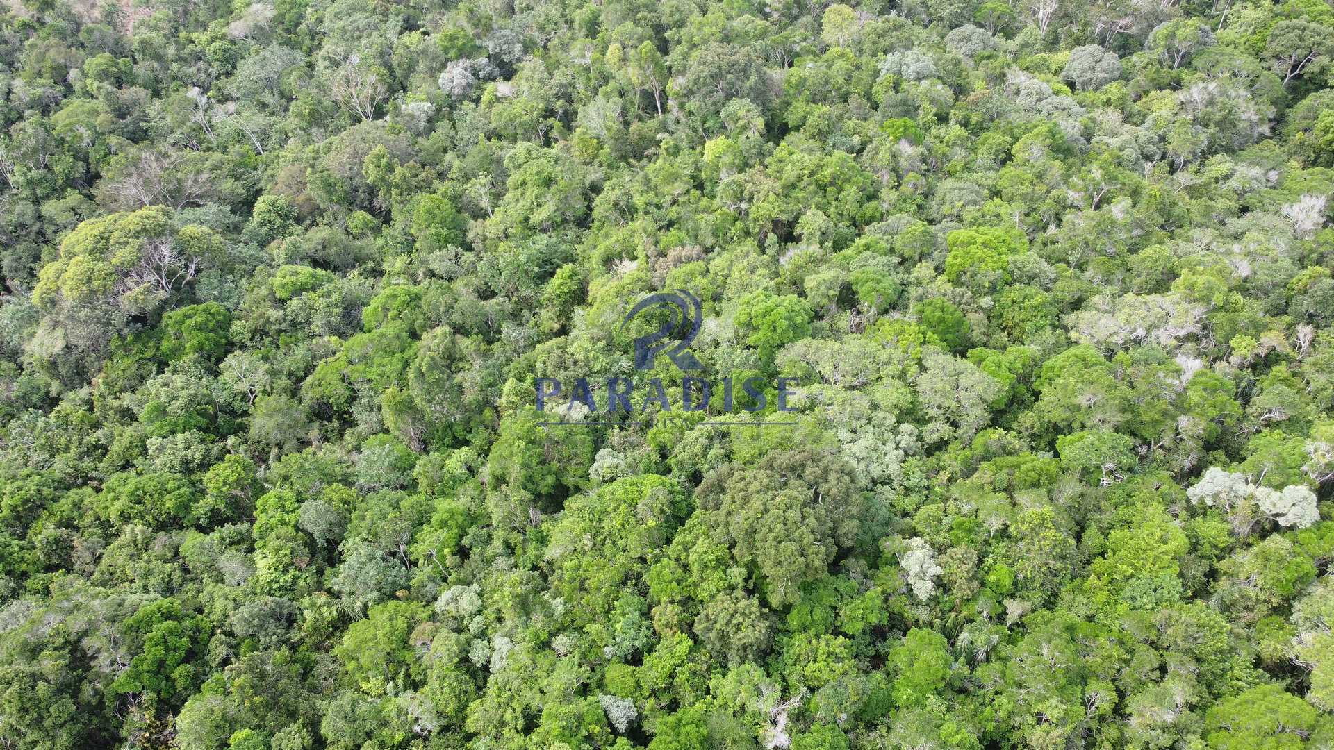 Fazenda à venda, 20000m² - Foto 10