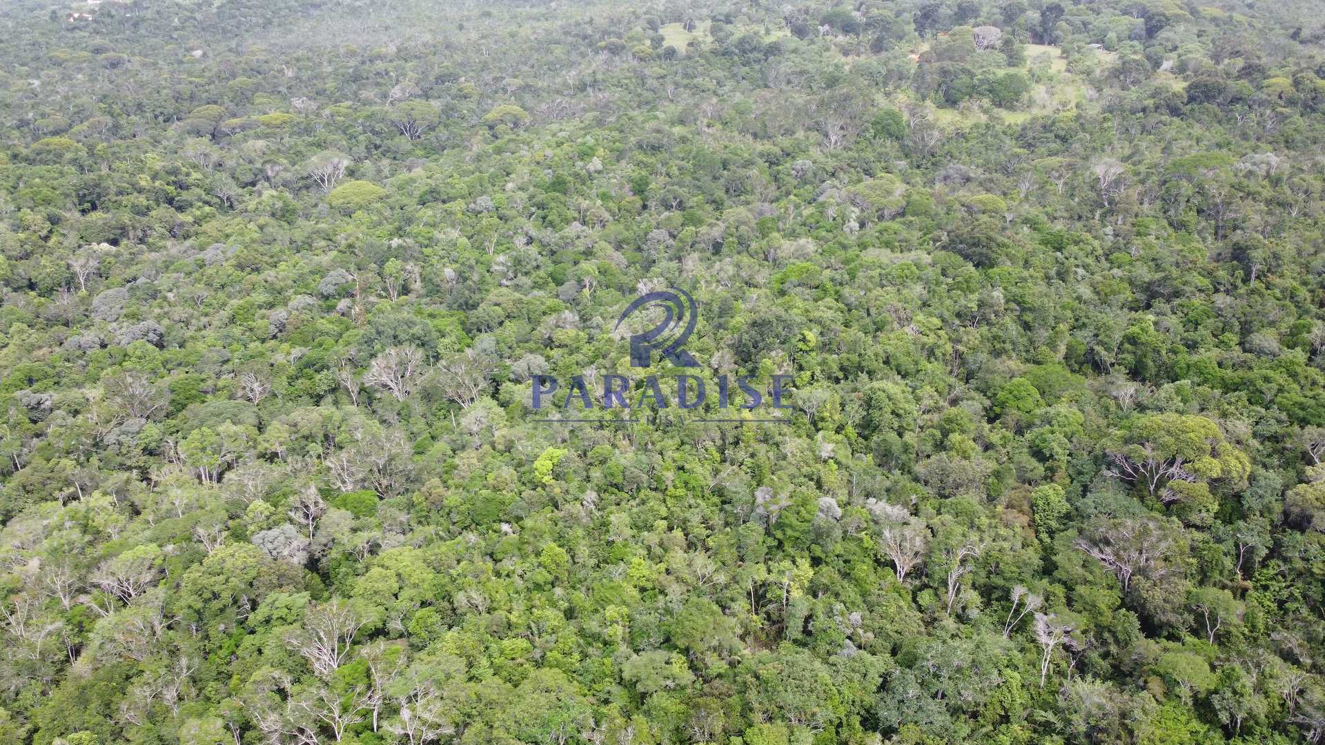 Fazenda à venda, 20000m² - Foto 6