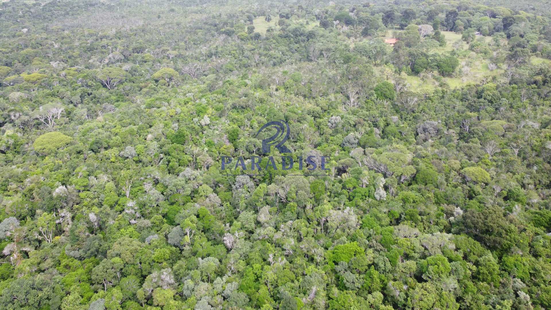 Fazenda à venda, 20000m² - Foto 9