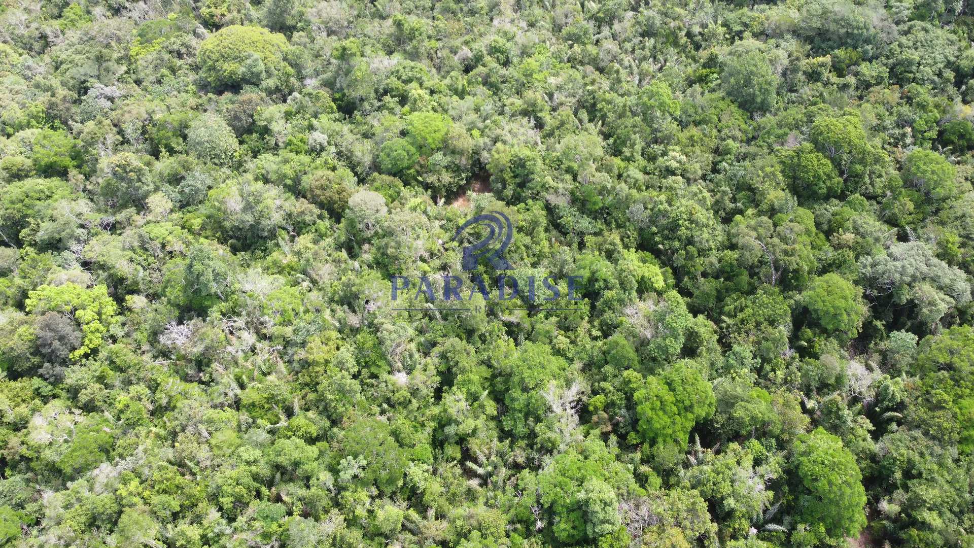 Fazenda à venda, 20000m² - Foto 14