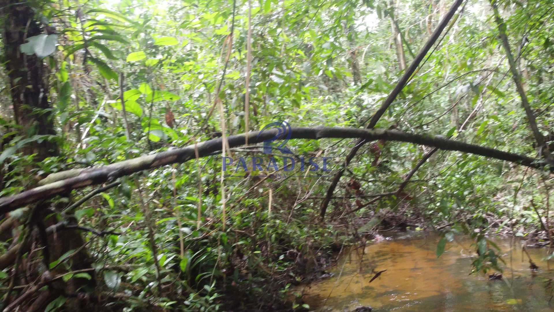 Fazenda à venda, 20000m² - Foto 39