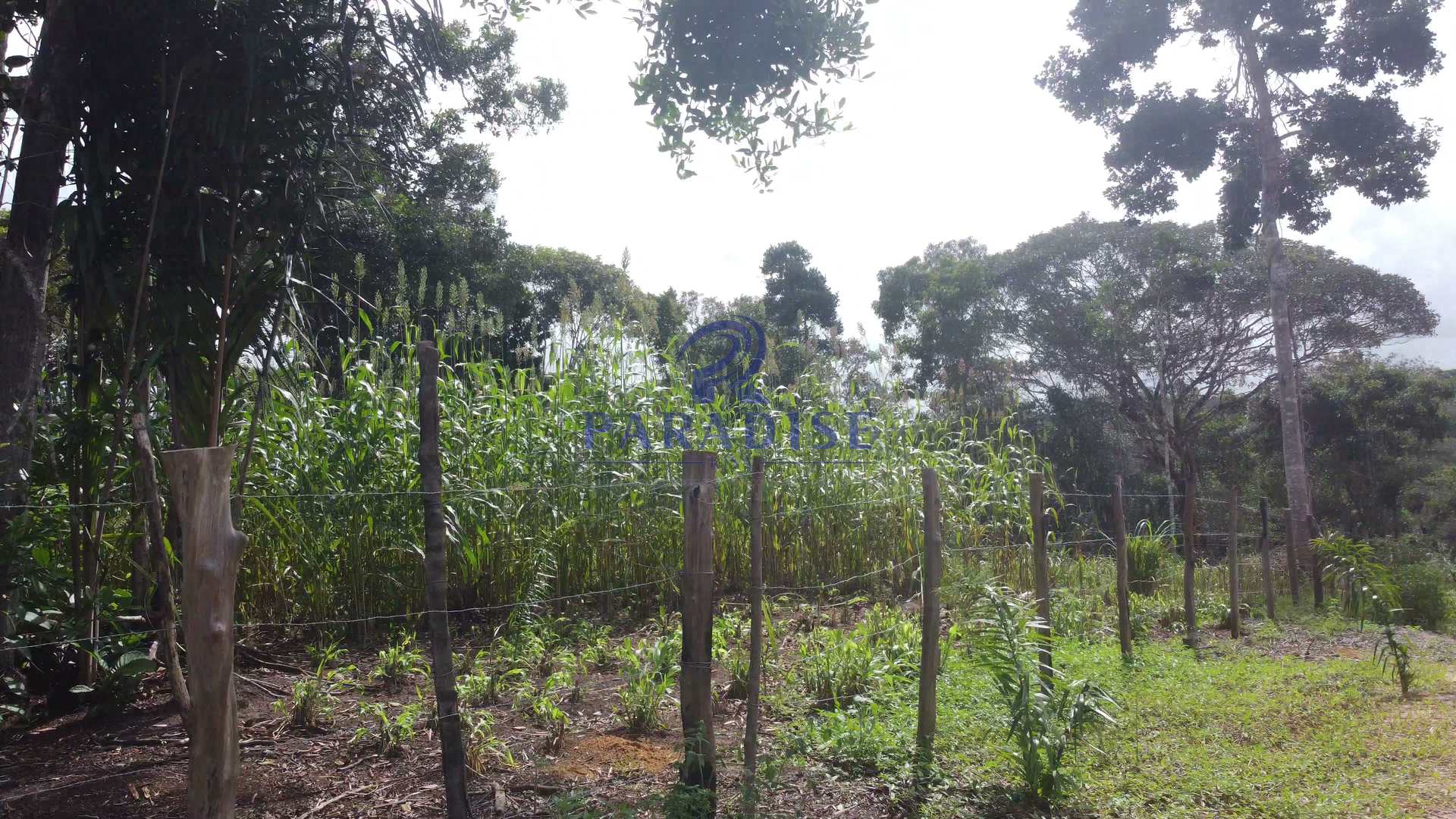 Fazenda à venda, 20000m² - Foto 22