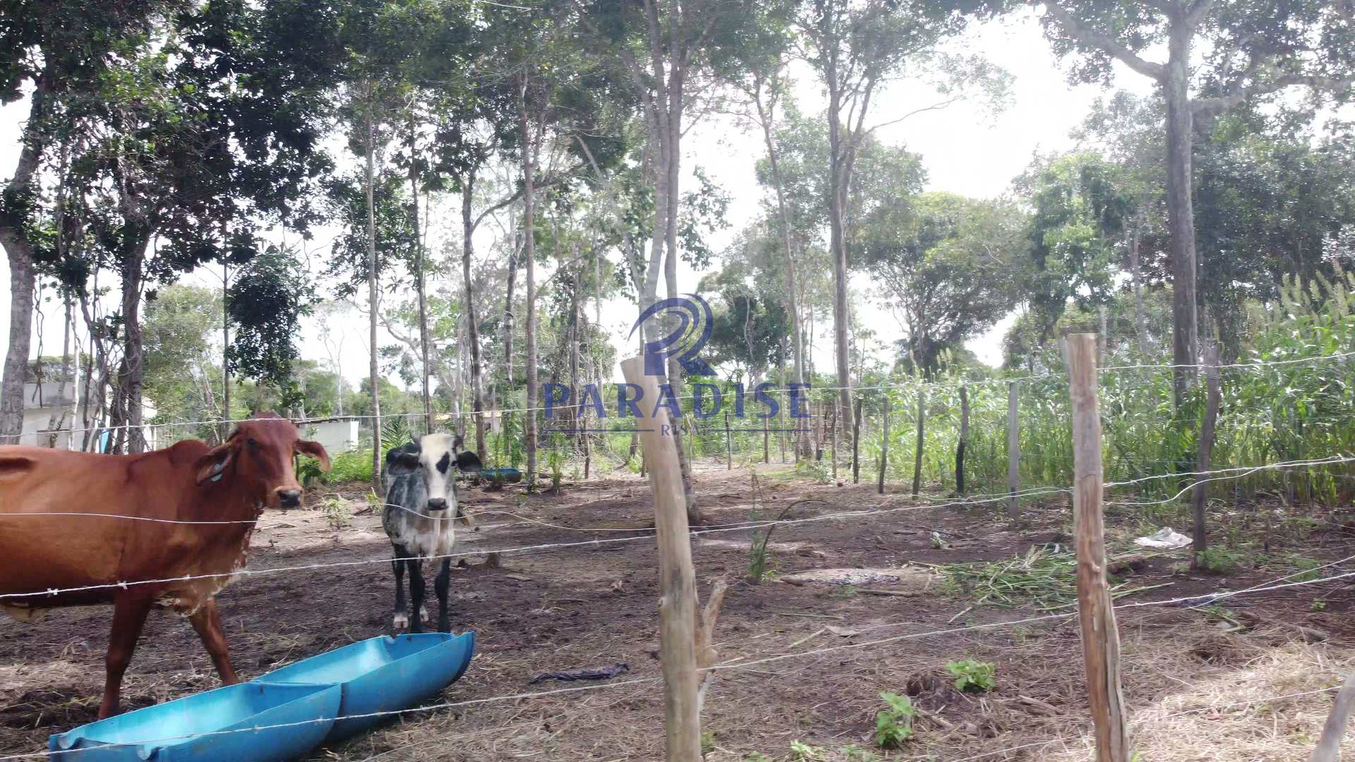 Fazenda à venda, 20000m² - Foto 21