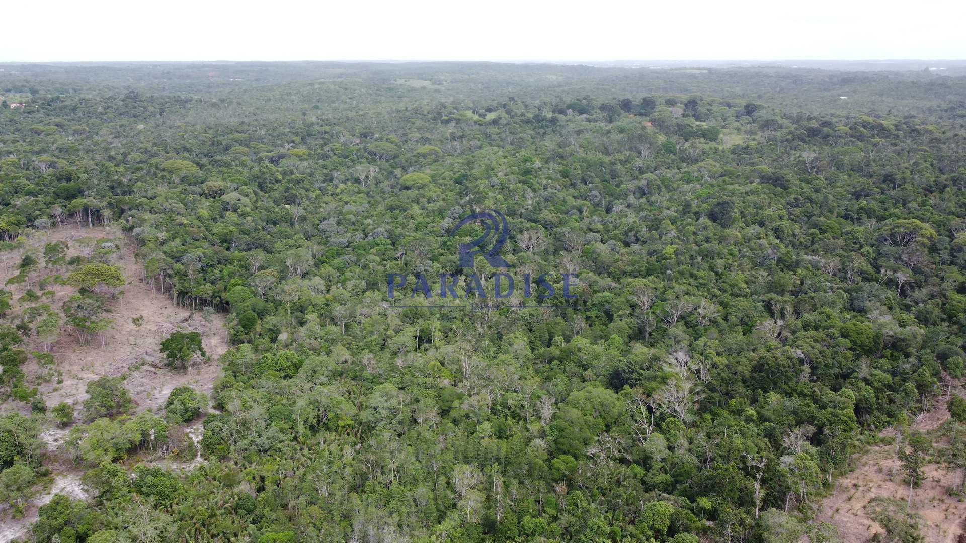 Fazenda à venda, 20000m² - Foto 1