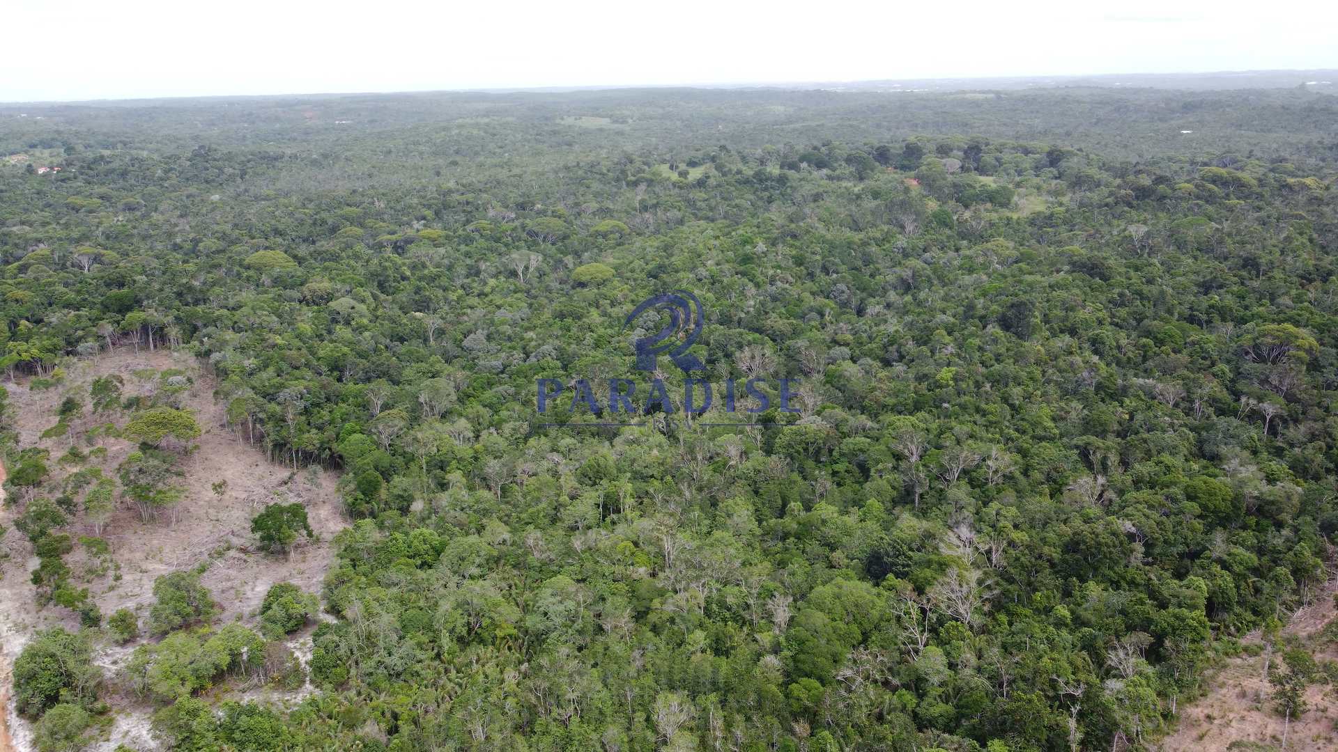 Fazenda à venda, 20000m² - Foto 2