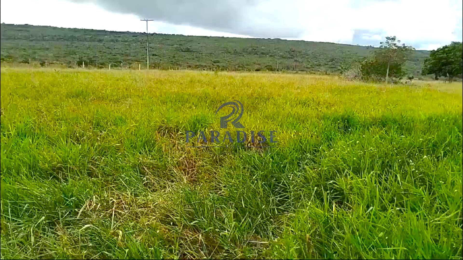 Fazenda à venda, 1940000m² - Foto 4