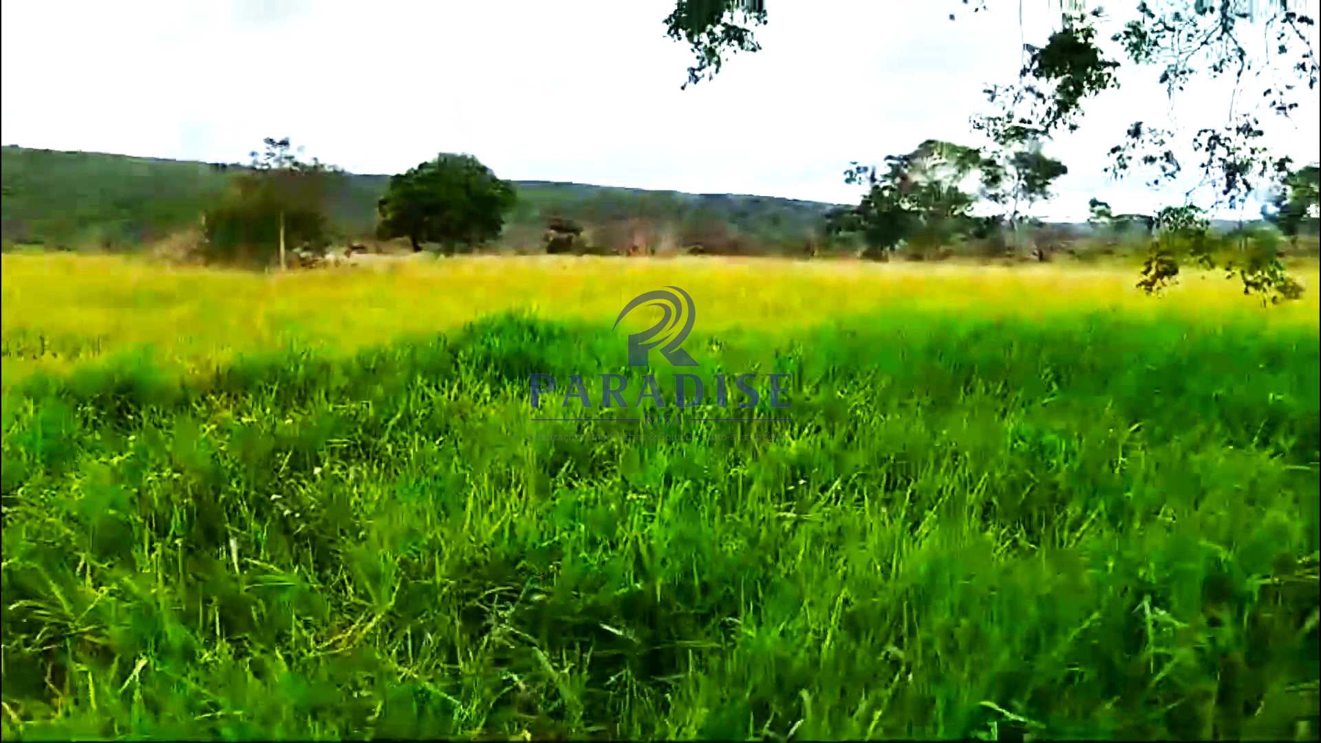 Fazenda à venda, 1940000m² - Foto 3