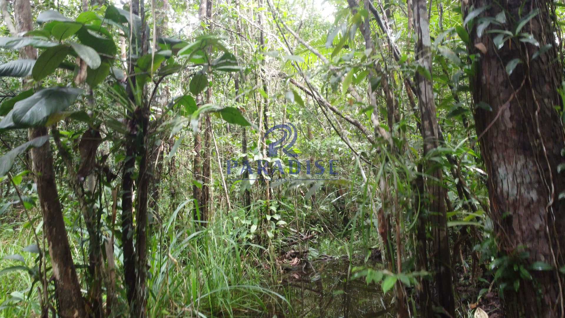 Fazenda à venda, 20000m² - Foto 22