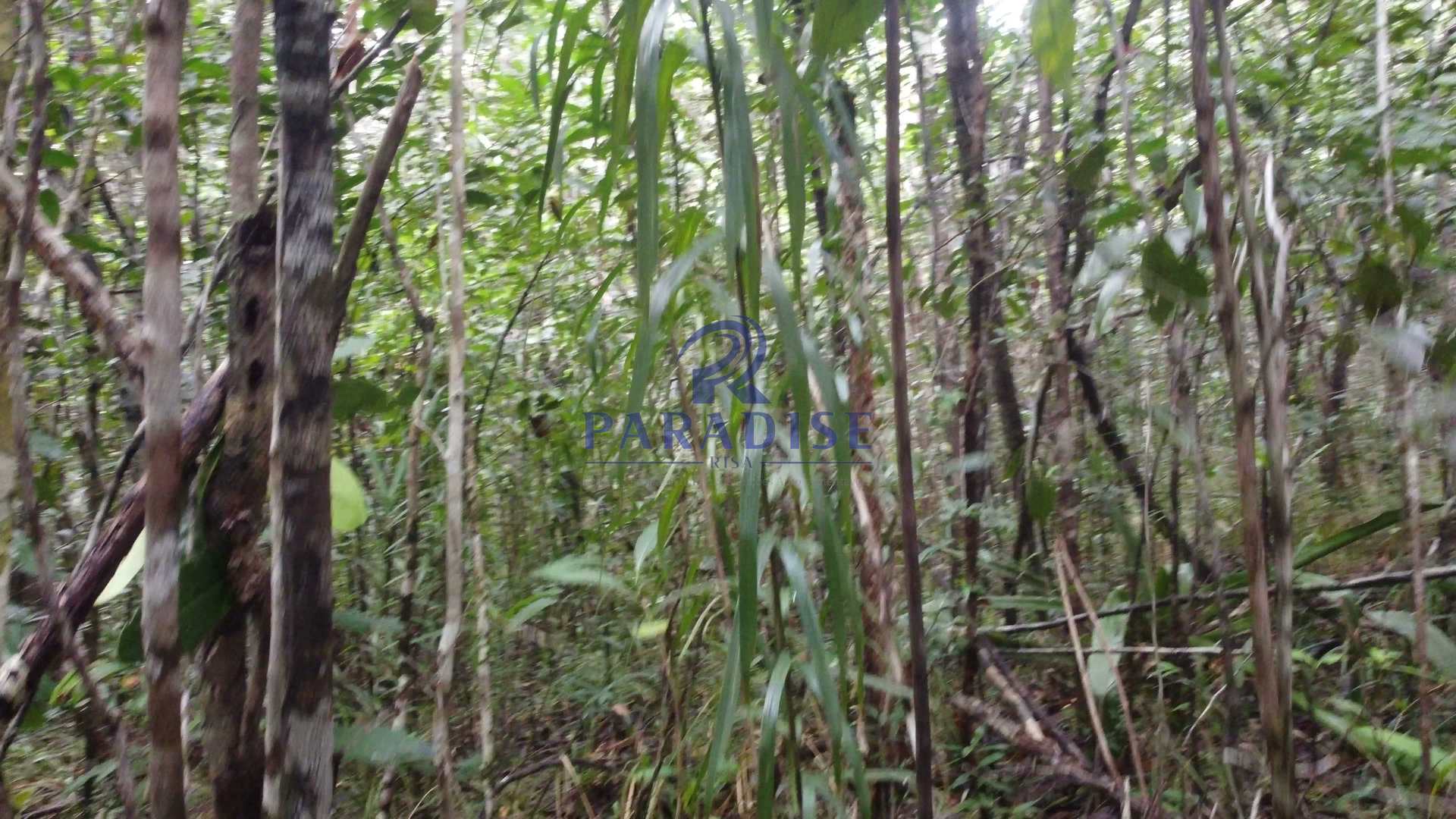 Fazenda à venda, 20000m² - Foto 17