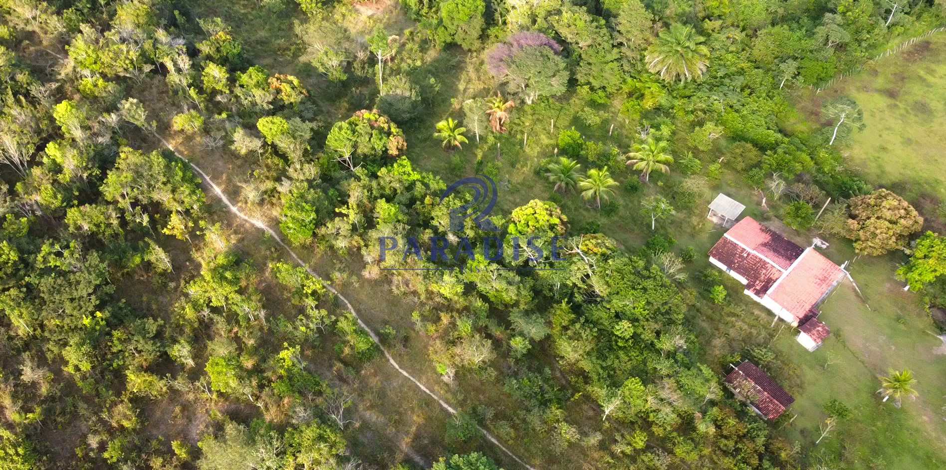 Fazenda à venda com 2 quartos, 47000m² - Foto 9