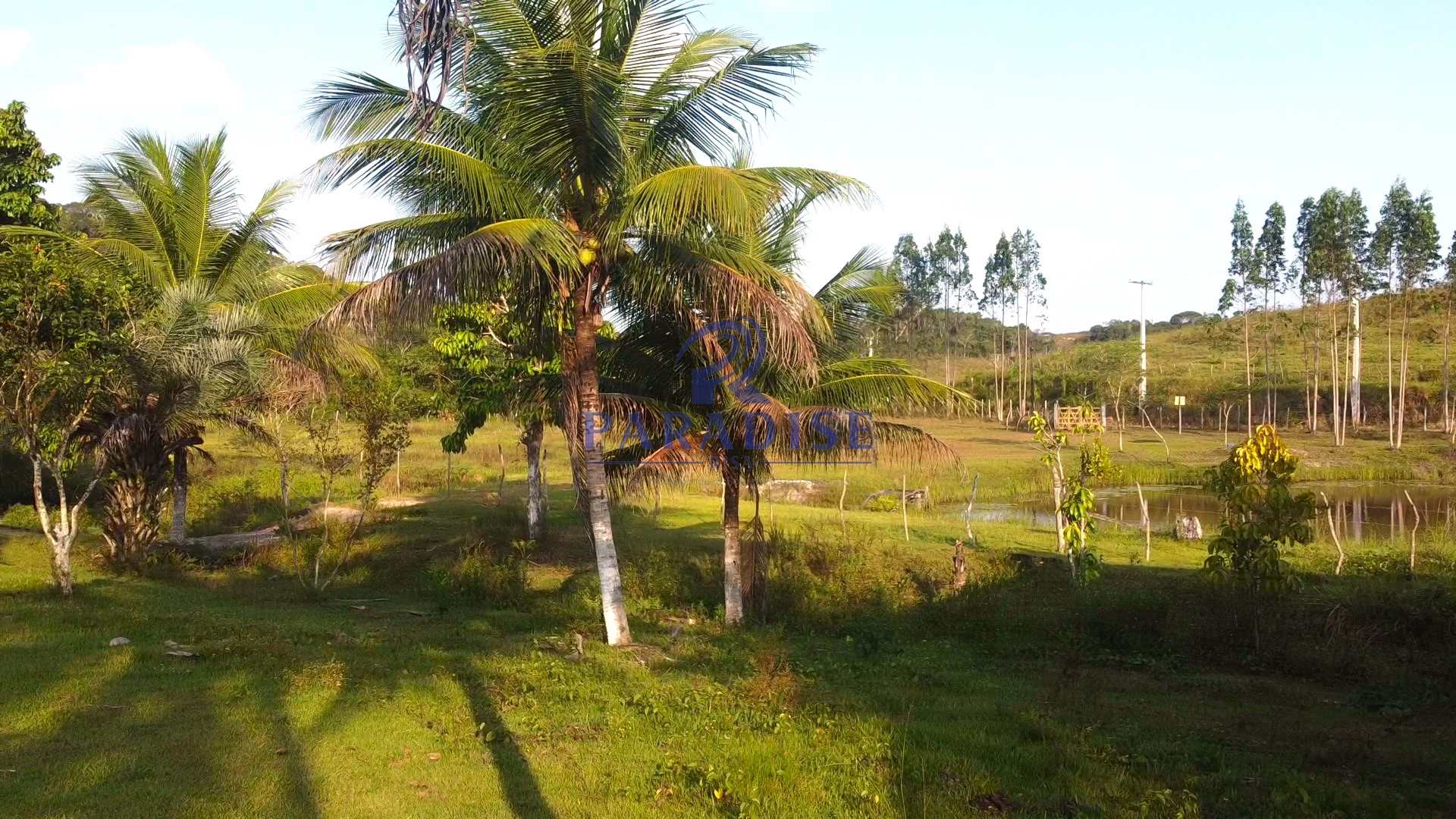 Fazenda à venda com 2 quartos, 47000m² - Foto 25