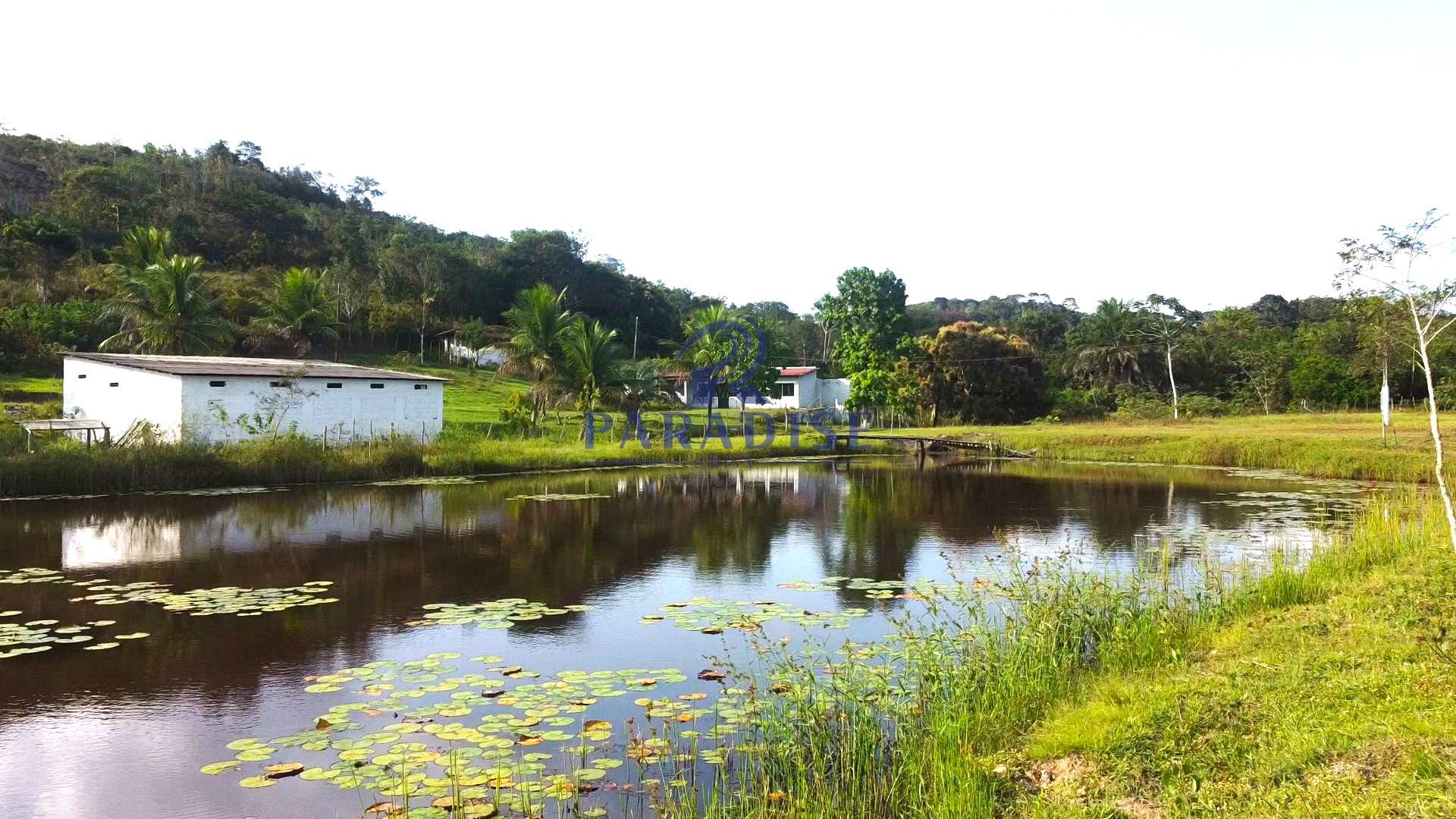 Fazenda à venda com 2 quartos, 47000m² - Foto 22