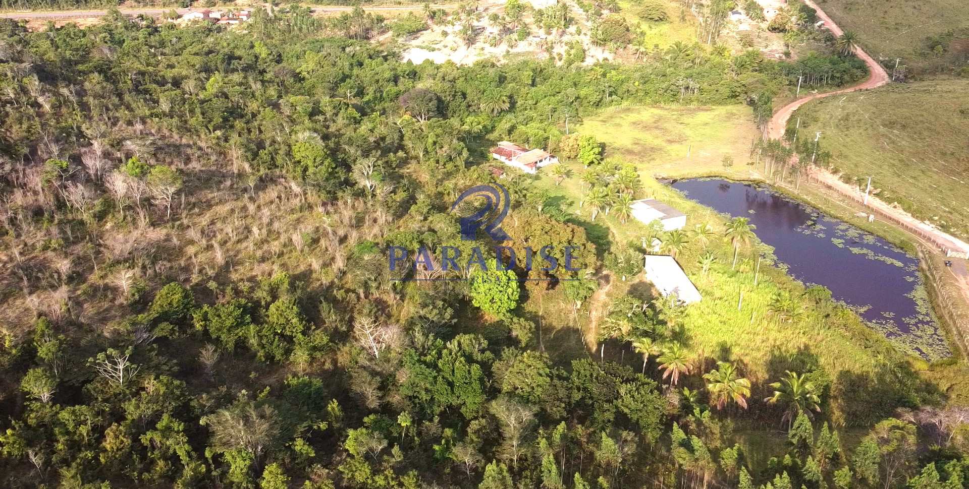 Fazenda à venda com 2 quartos, 47000m² - Foto 3