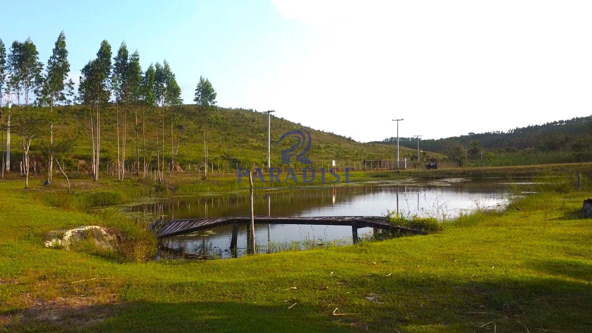 Fazenda à venda com 2 quartos, 47000m² - Foto 20