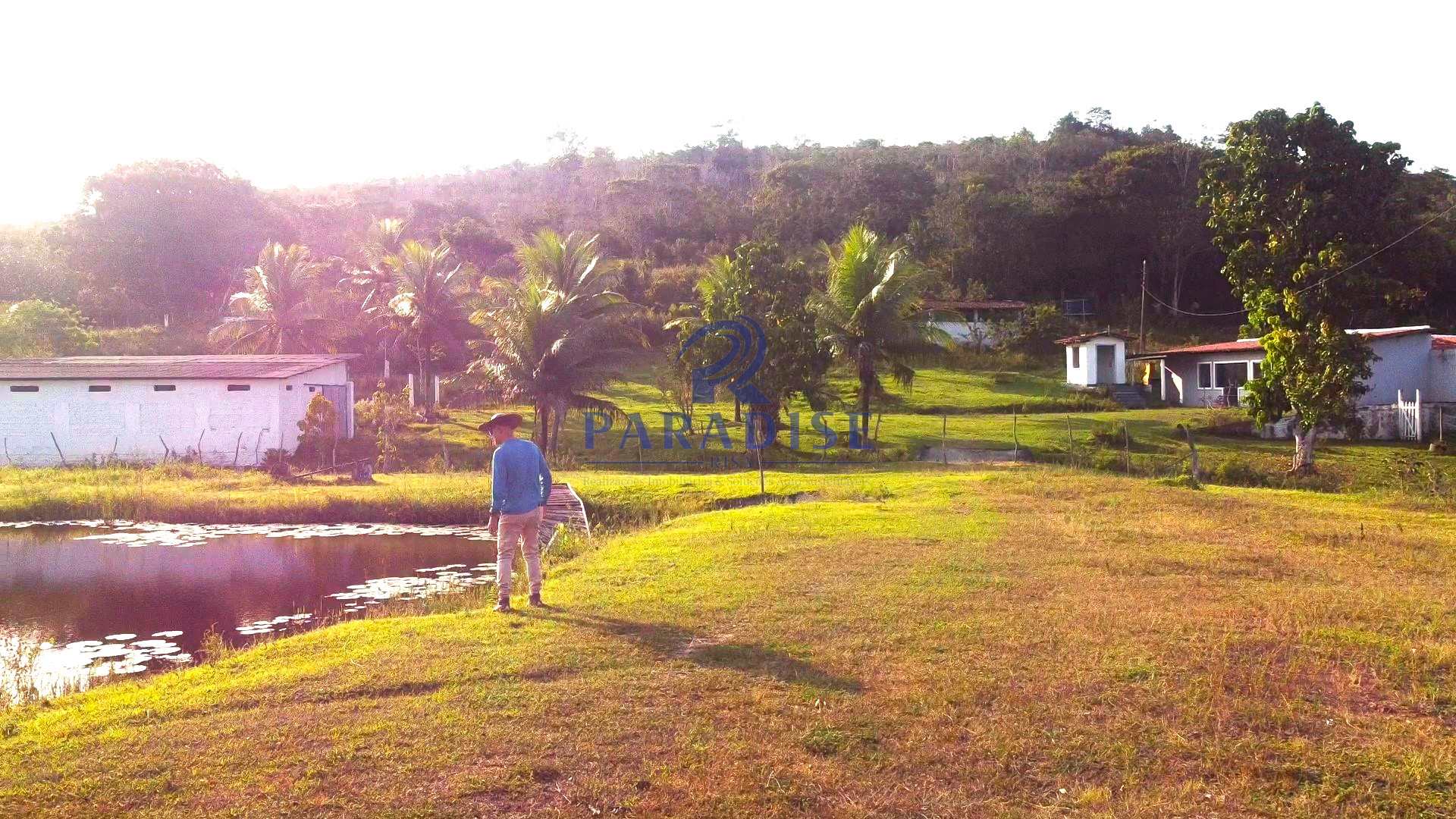 Fazenda à venda com 2 quartos, 47000m² - Foto 13