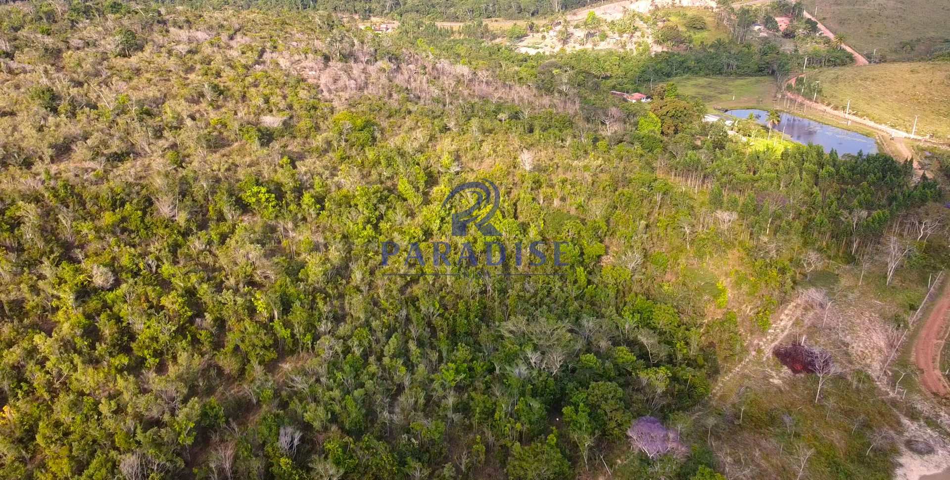 Fazenda à venda com 2 quartos, 47000m² - Foto 5