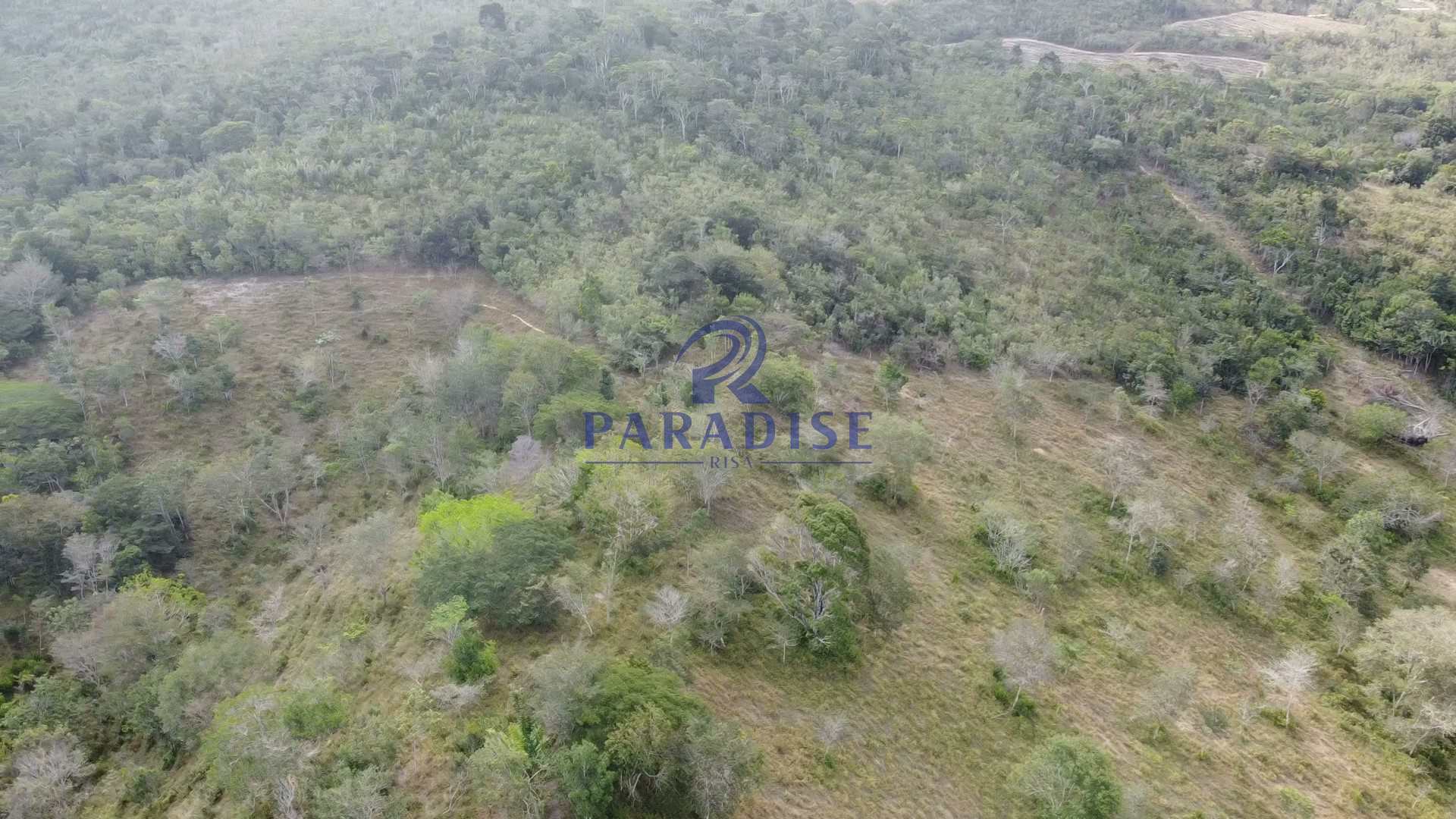 Fazenda à venda com 3 quartos, 136000m² - Foto 16