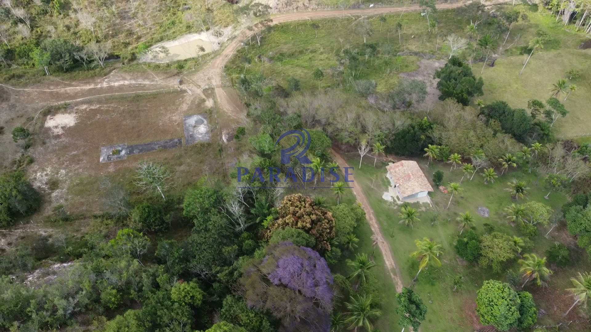 Fazenda à venda com 3 quartos, 136000m² - Foto 5