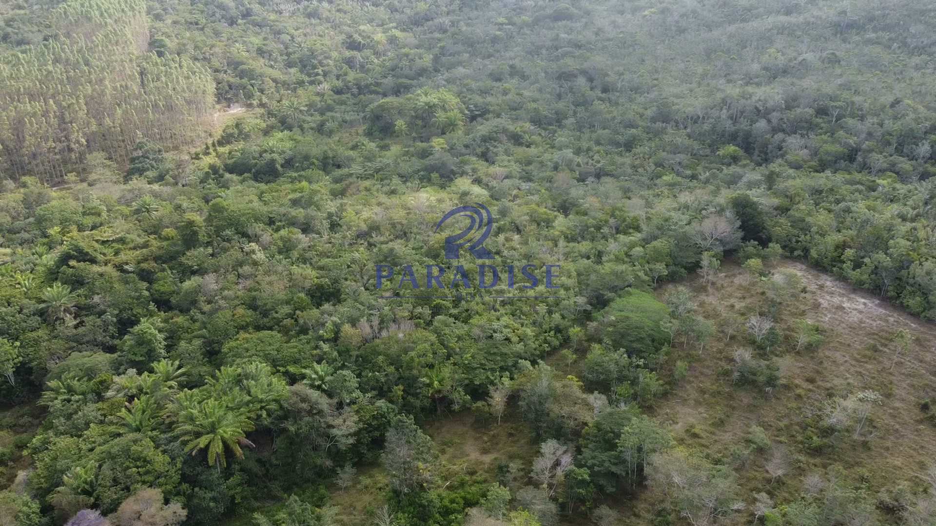 Fazenda à venda com 3 quartos, 136000m² - Foto 19