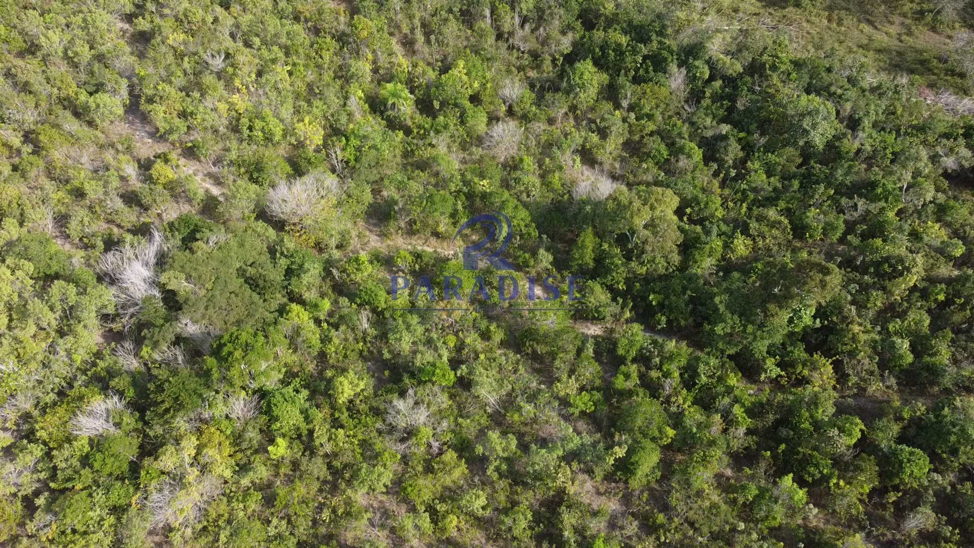 Fazenda à venda com 3 quartos, 136000m² - Foto 22