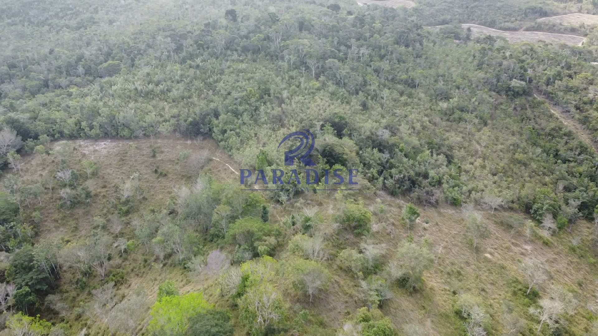 Fazenda à venda com 3 quartos, 136000m² - Foto 17