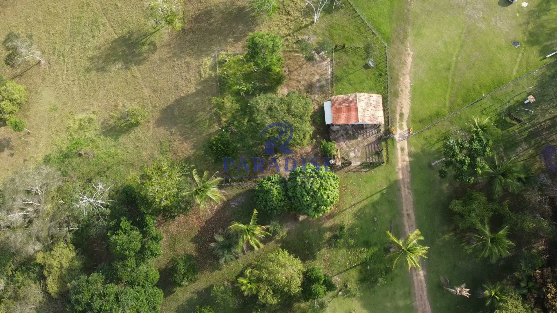 Fazenda à venda com 3 quartos, 136000m² - Foto 10